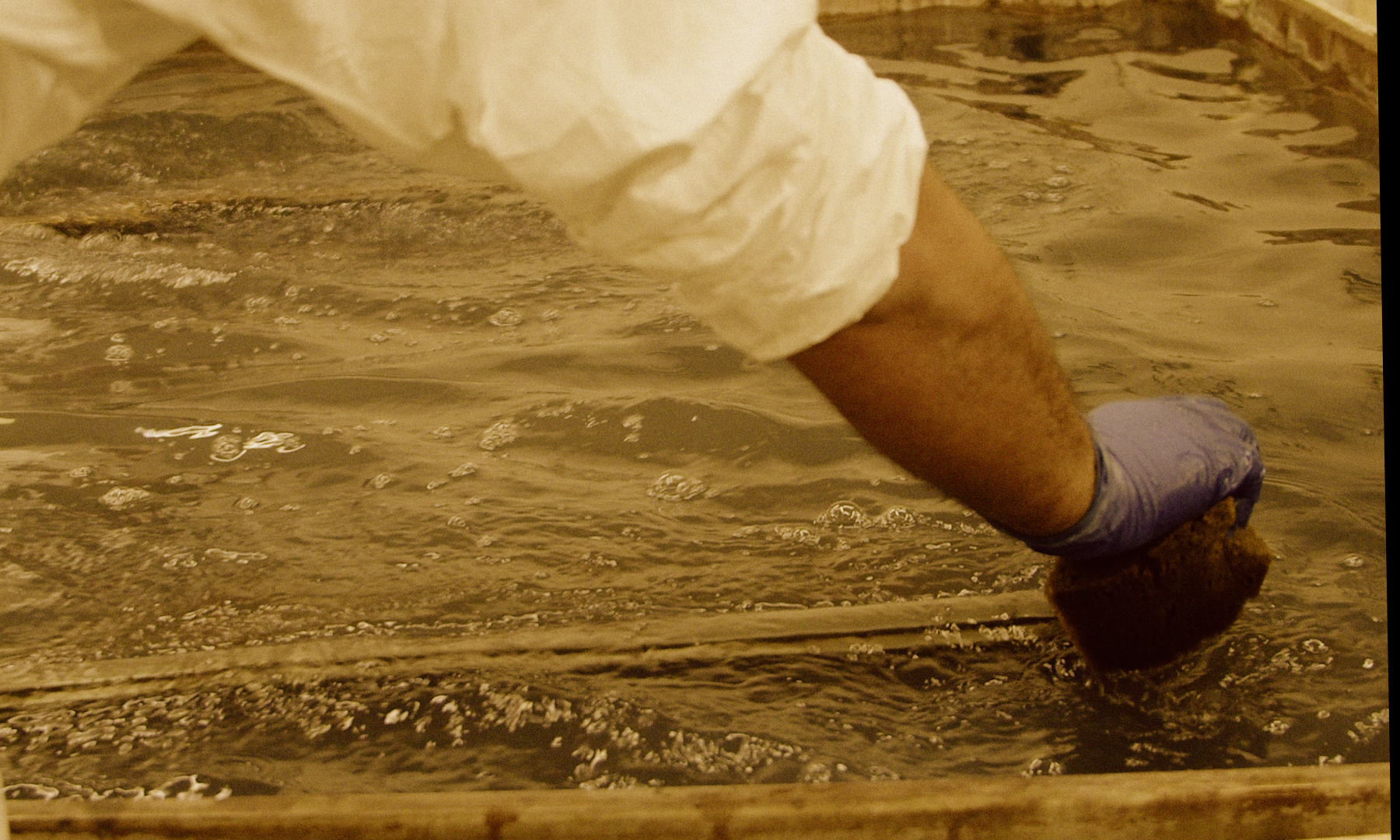 L’architettura è ordine, luce e forma.